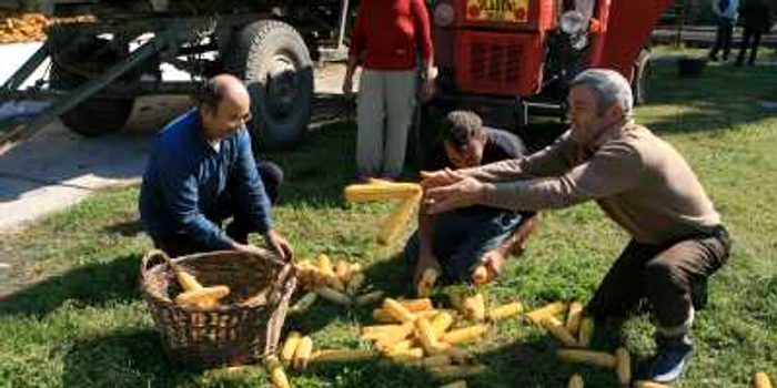 Milioanele de persoane din mediul rural produc undeva la 3,5% din PIB