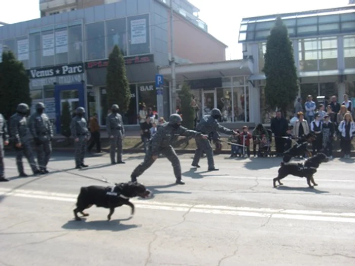 Imagini de la festivitățile de Ziua Poliției