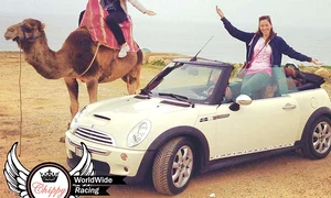 fete mini cooper1254 0 jpeg