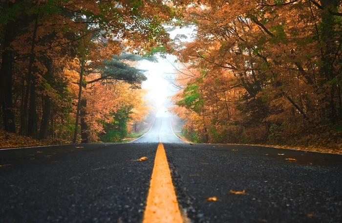Vreme frumoasă la jumătatea lunii octombrie - Foto Shutterstock