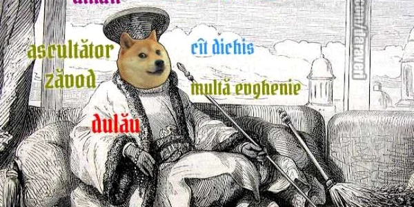 doge daraveri 