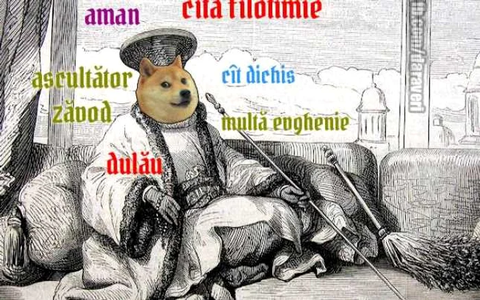 Doge a primit şi el tratamentul ”Daraveri de boieri”