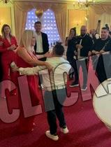 elena udrea adrian minune jpeg