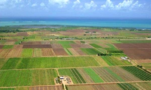 teren arabil parcele