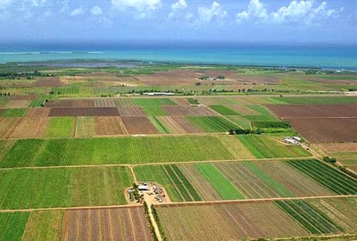 teren arabil parcele