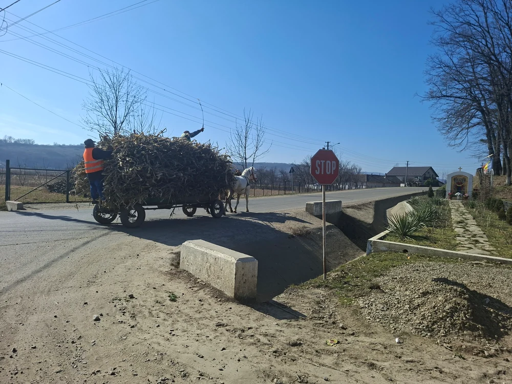 Mulți oameni în mediul rural trăiesc aproape ca-n evul mediu FOTO Cosmin Zamfirache