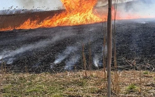 incendiu vegetatie vaslui