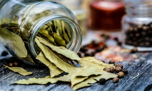 1 76574 original jpg jpeg