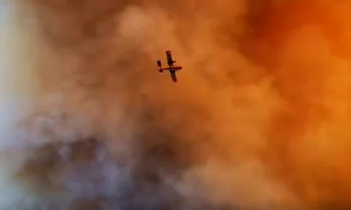 incendii de vegetatie insula evia grecia 0 jpeg
