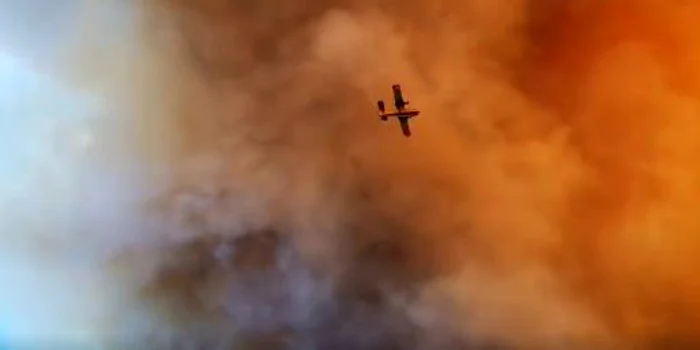 
    Incedniile de vegetație afectează și insula Evia din GreciaFoto: captură video  