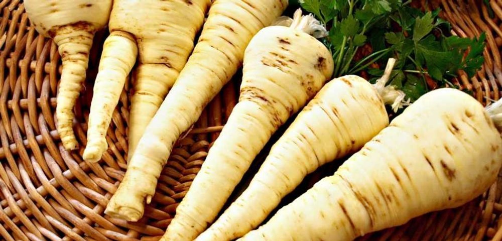 Beneficiile uimitoare ale păstârnacului. Este bogat în antioxidanți și sărac în calorii
