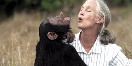 dr jane goodall foto facebook jane goodall