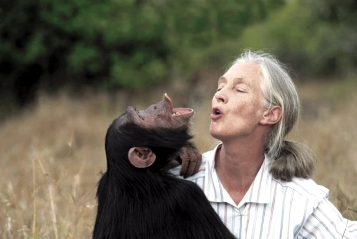 Jane Goodall  FOTO: Facebook Jane Goodall