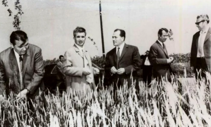 Tezele din Iulie (6 iulie 1971) jpeg