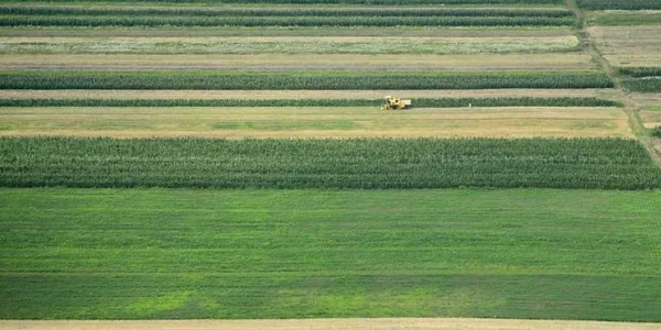 Agricultura - teren agricol FOTO Mediafax 