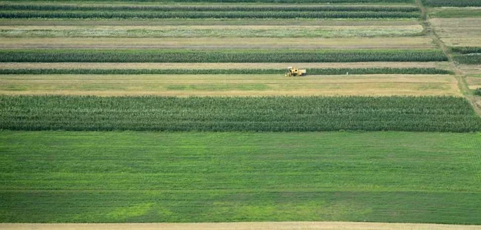 Agricultura - teren agricol FOTO Mediafax 