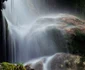 Minisului foto Florin Avramescu