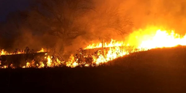 incendii