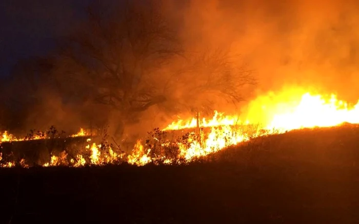 Incendii de vegetaţie. FOTO: ISU Hunedoara.