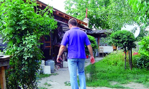 În România Lili locuia împreună  cu părinţii săi, într o casă modestă  de la marginea Timişoarei jpeg