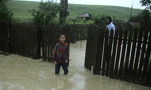 CLIIMA20100629 0024 1 jpeg