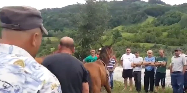 cai biciuiti
