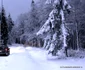 iarna in tinutul padurenilor foto daniel guta adevarul