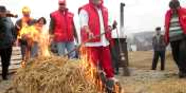 Porcul tăiat în parcarea hipermarketului clujean avea 190 de kilograme