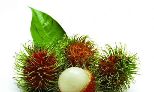 rambutan shutterstock 208426297 jpeg