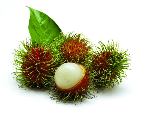 rambutan shutterstock 208426297 jpeg