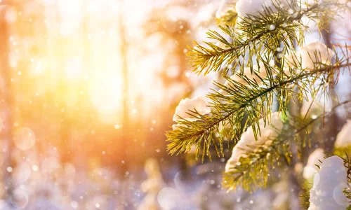 Zăpadă la munte - ninsoare - meteo -vremea FOTO Shutterstock 