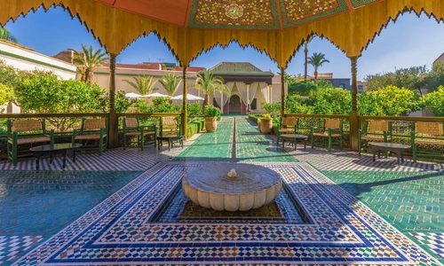 1 shutterstock 784835587 jpg jpeg