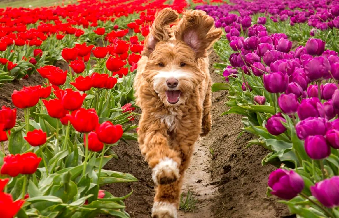 FOTO Photoland/Caters News