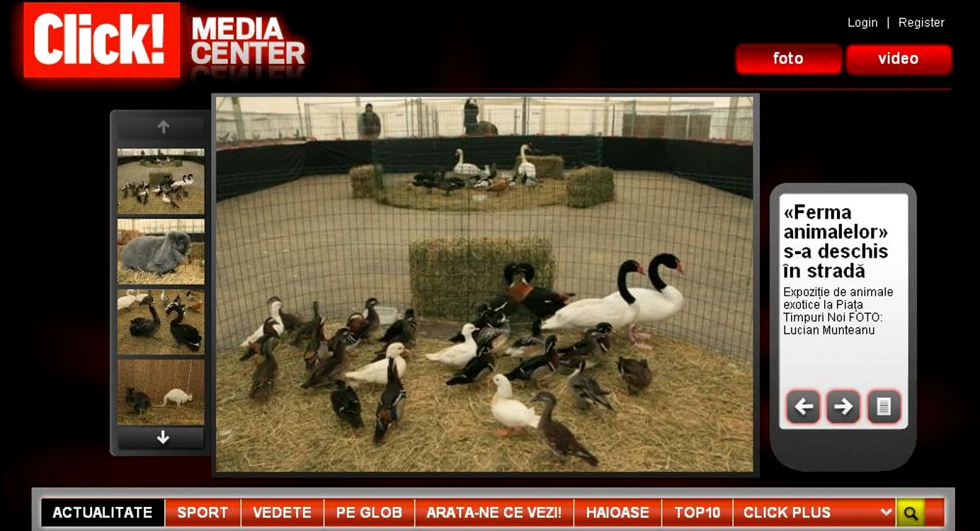 Animale