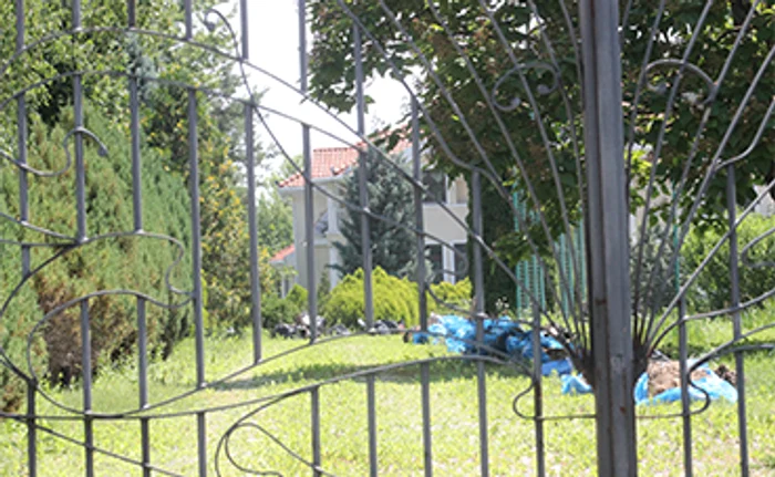 Vila este ascunsă de vegetaţia care a cresct la voia întâmplării