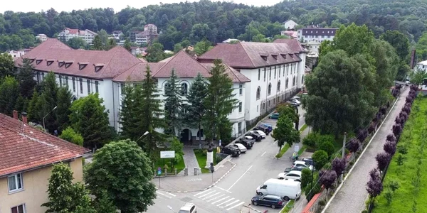 Vâlcea-CN-Mircea-cel-Bătrân Foto Constantin Drăghici