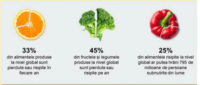 Produse alimentare ajung la gunoi din cauza neglijenţei oamenilor