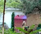 Ce îi ușurează viața artistului pe litoral