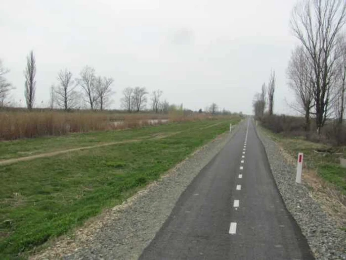 Pista de biciclete de pe digul Begăi FOTO Ştefan Both