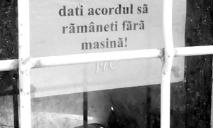 Cu ochii n 3,14 jpeg