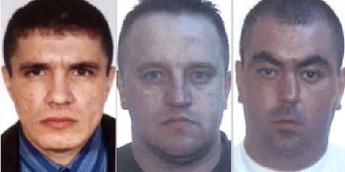 Adrian Şerşeniuc, Sever Şutu şi Robu Cristian Mihail, zis Porcu’