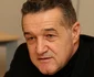 3 gigi becali jpg jpeg