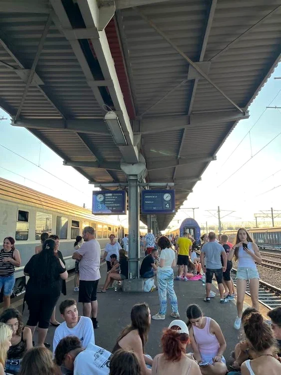 Trenurile au fost blocate din cauza incendiului de vegetație Foto: FB Gara Medgidia 