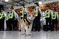conan motan filipine afp jpg