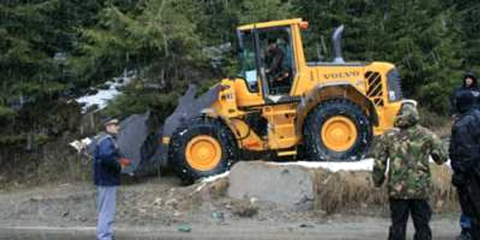  Poliţiştii i-au prins transportând ilegal material lemnos