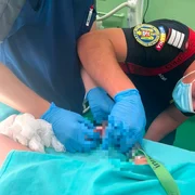 un copil de doi ani a ramas cu mana prinsa in masina de tocat foto isu mures png