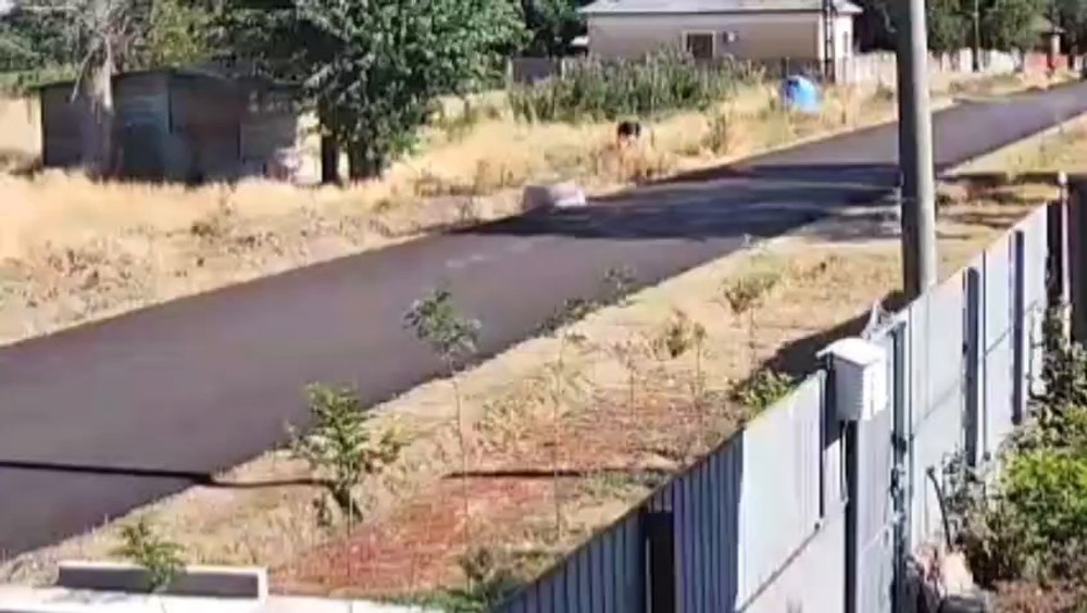 A dat foc câmpului, apoi i-a amenințat cu moartea pe cei afectați. Piroman surprins de camerele de supraveghere