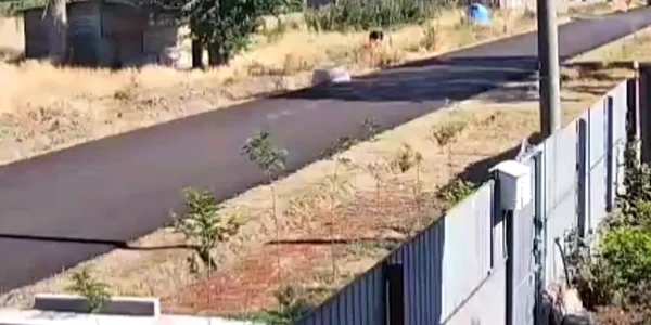 piroman dolj, localitatea barca, incendiu 20 iulie 2025   sursa IPJ Dolj (2) mp4 thumbnail png