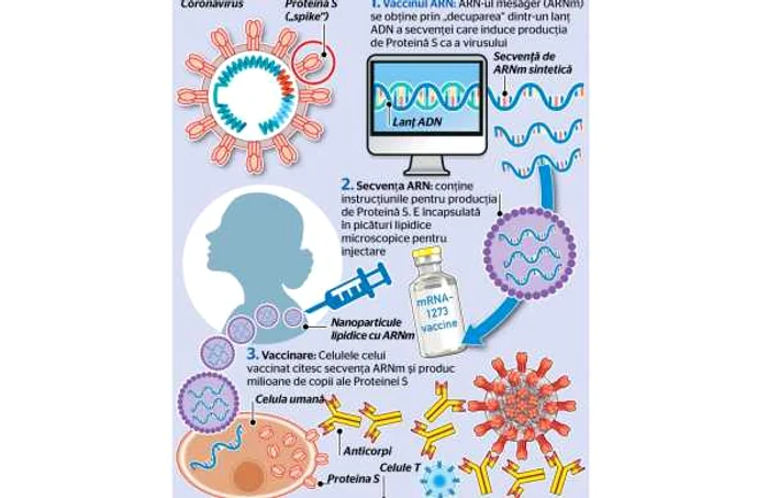 Grafic vaccin interior articol Graphic News