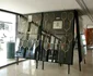 Colecţia poate fi admirată la Sala Sporturilor. FOTOSimona Suciu